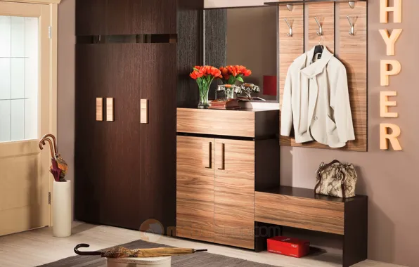 Design, style, interior, corridor, entrance hall