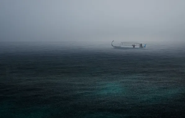 Sea, the storm, rain, boat