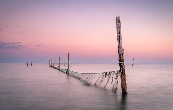 Sea, sunset, network