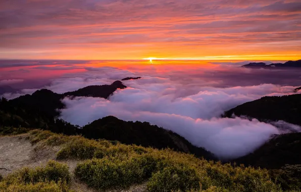 The sky, grass, the sun, clouds, light, landscape, sunset, mountains