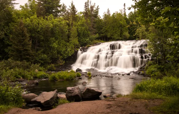 Forest, trees, stream, stones, waterfall, USA, cascade, Bond Falls