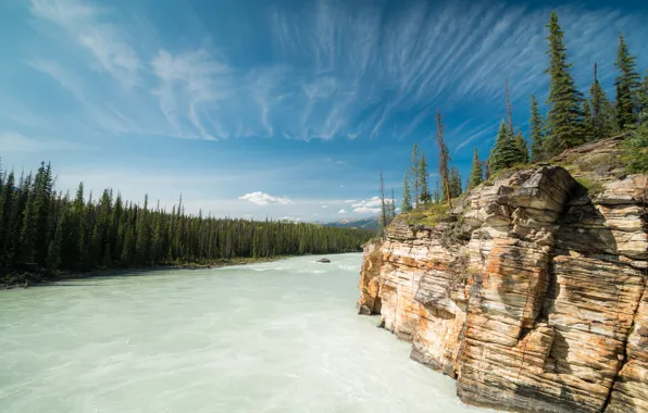 Forest, rock, river, Canada, Albert, Alberta, Canada, Bow River