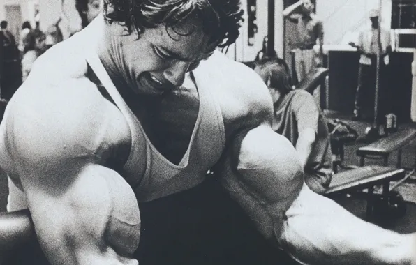 Picture Actor, Arnold Schwarzenegger, bodybuilding, young, kachek, Producer, Director, Arnold Schwarzenegger