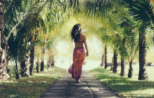 Girl, palm trees, photographer, girl, path, photography, photographer, alley