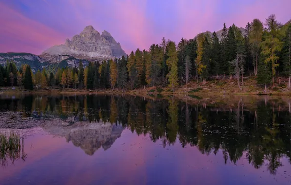 Autumn, forest, mountains, lake, reflection, shore, tops, the evening