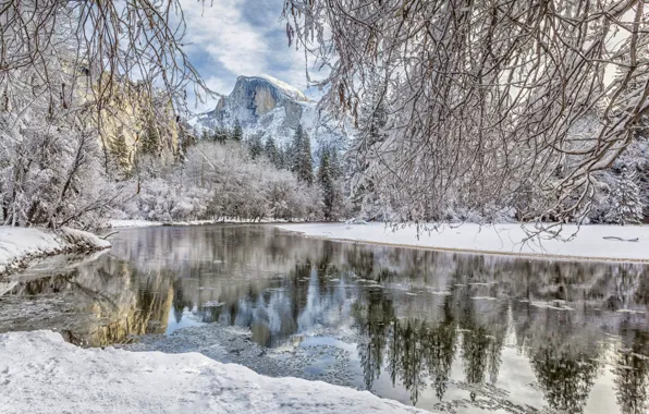 Winter, forest, snow, branches, river, mountain, CA, California