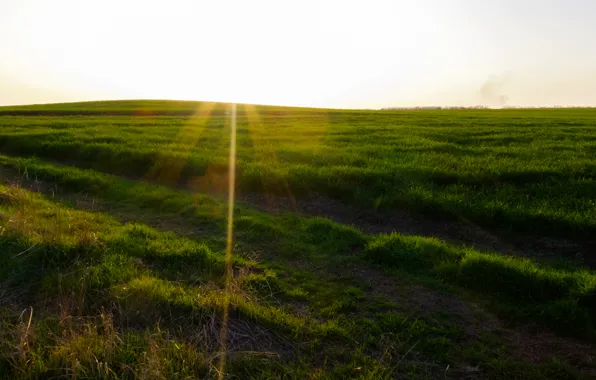 Road, the sun, trees, sunset, Field, landing, blue sky