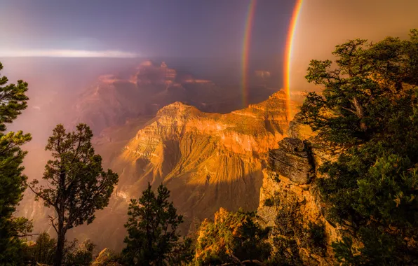 Light, trees, rocks, rainbow, canyon, USA