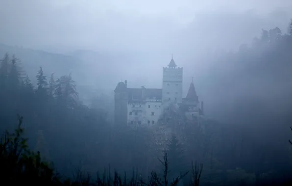 Picture forest, mountains, fog, Romania, Romania, Bran Castle, medieval architecture, Bran Castle