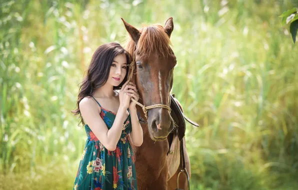 Summer, face, background, horse, Asian