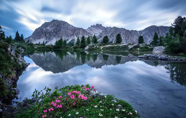 Picture flowers, mountains, lake