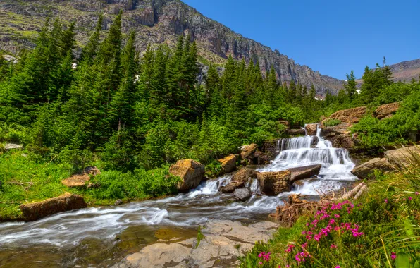 Picture the sky, flowers, mountains, river, slope