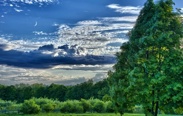 The sky, clouds, trees, clouds, the moon, meadow
