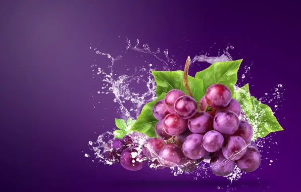 Water, squirt, background, grapes, bunch