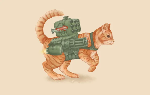 Picture cat, weapons, rocket, gun