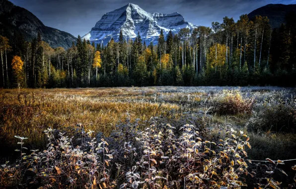 Field, autumn, landscape, mountain