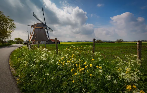 Road, field, flowers, meadow, mill, windmill