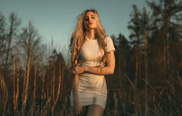 Girl, Wood, Sunrise, Women, Blonde, Long Hair, Trees, Dress