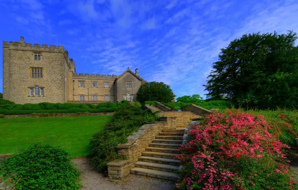 Greens, the sky, grass, clouds, trees, flowers, castle, lawn