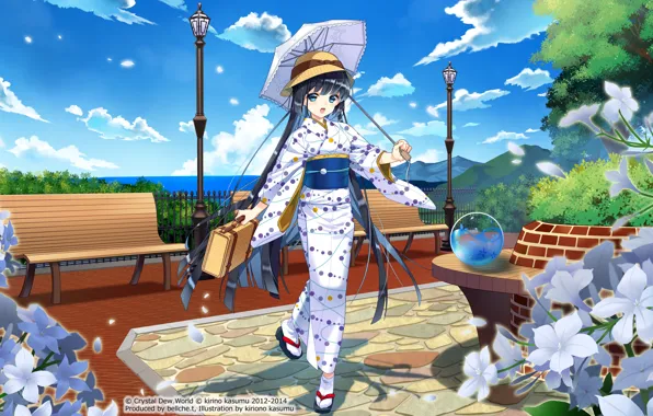 Picture anime, sine nomine you shizuku, Mascot, crystal disc info