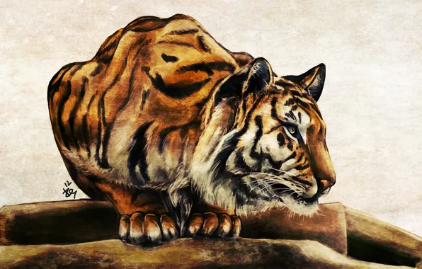 Picture mustache, tiger, animal, predator, paws, art, color, ears