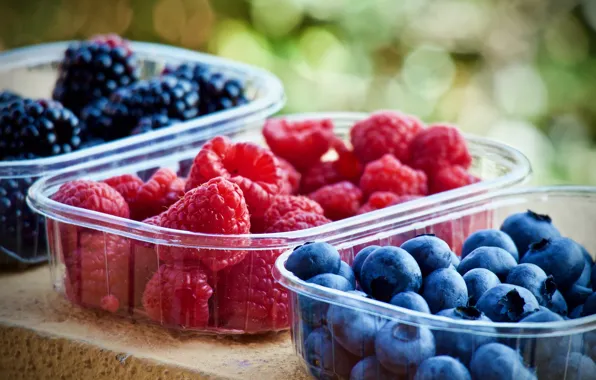 Berries, raspberry, food, harvest, blueberries, container, a lot, BlackBerry