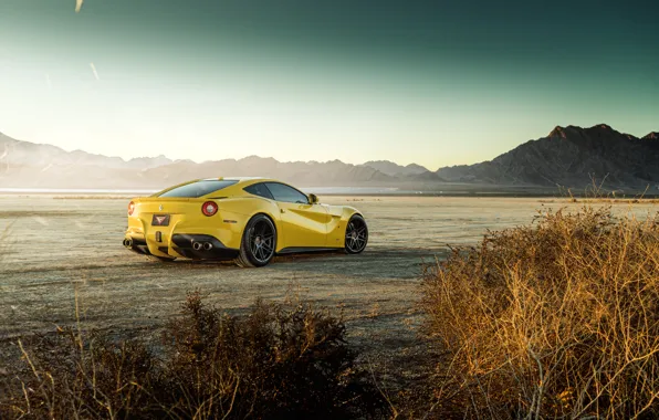 Picture yellow, design, desert, cool, the bushes, the ferrari f12