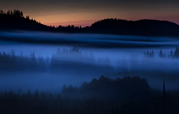 Picture field, landscape, night, fog