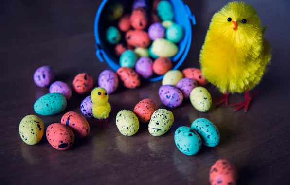 Chickens, eggs, Easter, eggs