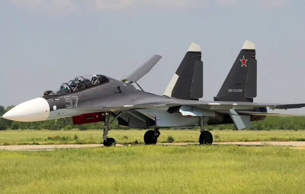 Picture Sukhoi, Flanker-C, Su-30CM, serial upgraded