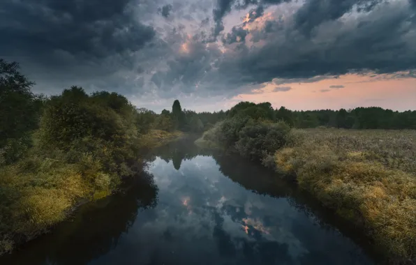 The sky, landscape, clouds, nature, reflection, dawn, morning, grass