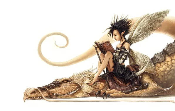 Dragon, elf, fairy, art, white background, book, ears, lying