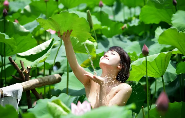 Summer, water, girl, Lily, Asian