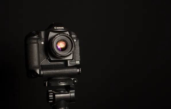 Macro, background, camera, Canon EOS-1D Mark II N