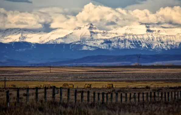 Field, landscape, nature, mountains, clouds, snow, fence, sunlight