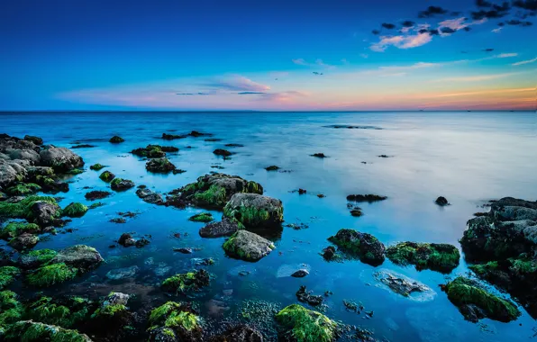 Sea, algae, sunset, stones, horizon