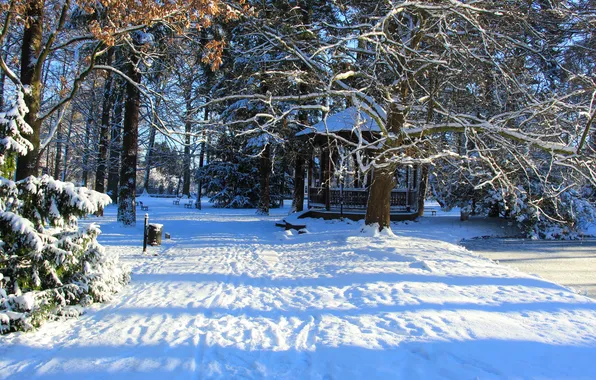 Park, winter, snow, alley
