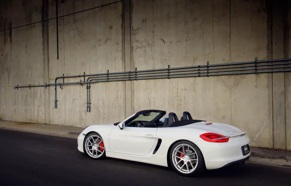 Picture white, Porsche, white, Porsche, Boxster S, 981