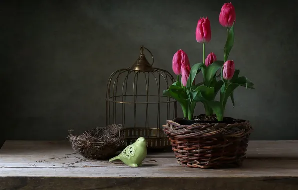 Flowers, the dark background, bouquet, spring, cell, socket, tulips, pink