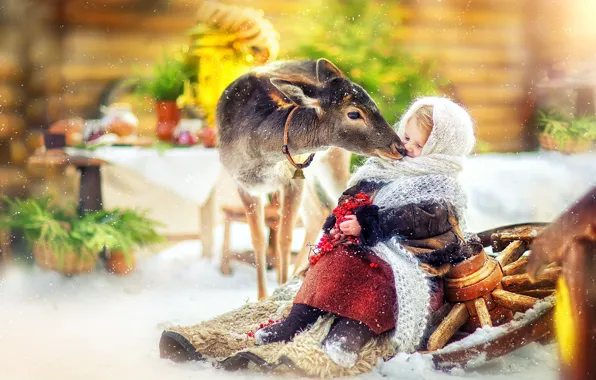 Picture winter, snow, berries, tenderness, deer, wheel, girl, fur