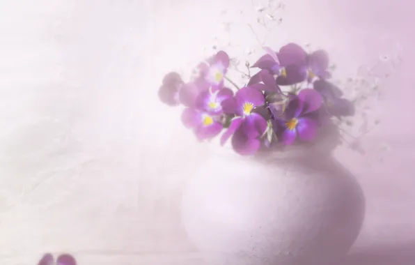 Picture pot, Pansy, a bunch