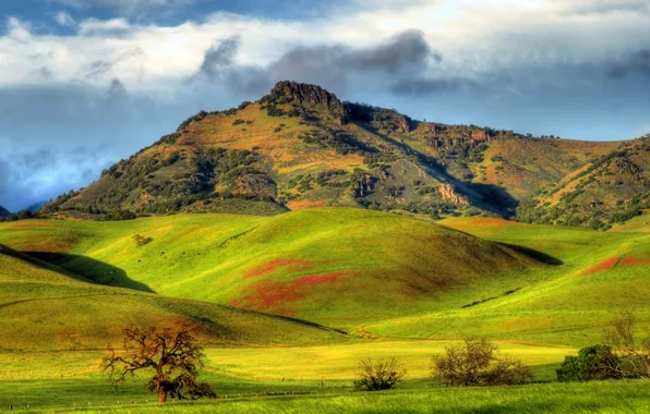 Greens, the sun, clouds, mountains, hills, field, CA, USA