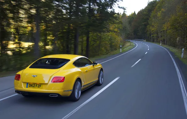 Picture Bentley, Continental, Road, Yellow, Forest, Continental, Suite, In Motion
