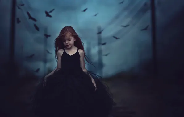 Birds, twilight, dress, girl, Black