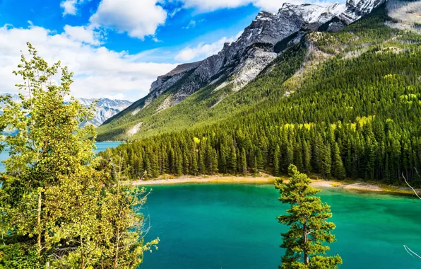 The sky, Clouds, Mountains, Forest