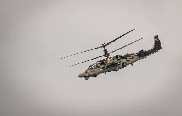 Flight, helicopter, Russian, Ka-52, shock, "Alligator"