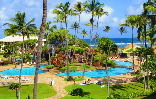 Picture the sky, tropics, palm trees, stay, people, pool