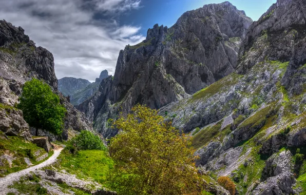 Forest, the sky, clouds, trees, landscape, mountains, nature, rock