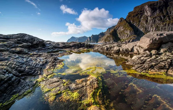 Picture Norway, Norway, Lofoten, Nordland, Soervaag