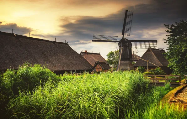 Roof, grass, thickets, shore, home, windmill